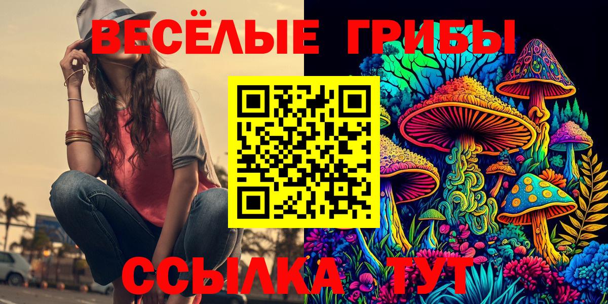 Тайшет  Псилоцибиновые грибы прущие грибы  Галлюциногенные грибы мухоморы  Вход с VPN 